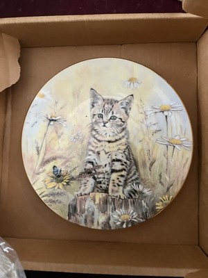 Royal Worchester Cat Plates Set 