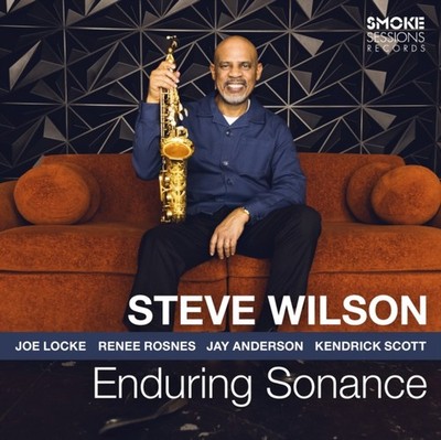 STEVE WILSON - ENDURING SONANCE - cd - G3z