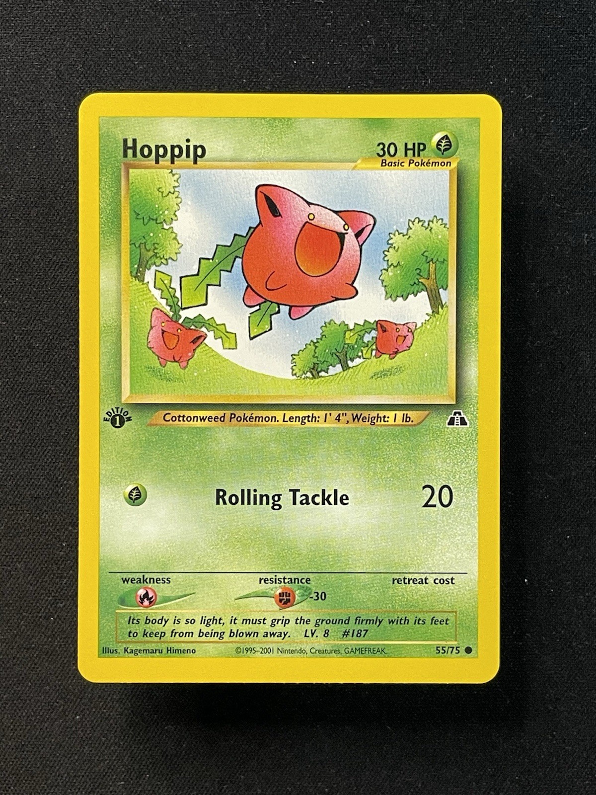 1st Edition Hoppip 55/75 - Neo Discovery - Near Mint
