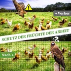 Bild 8 von 17