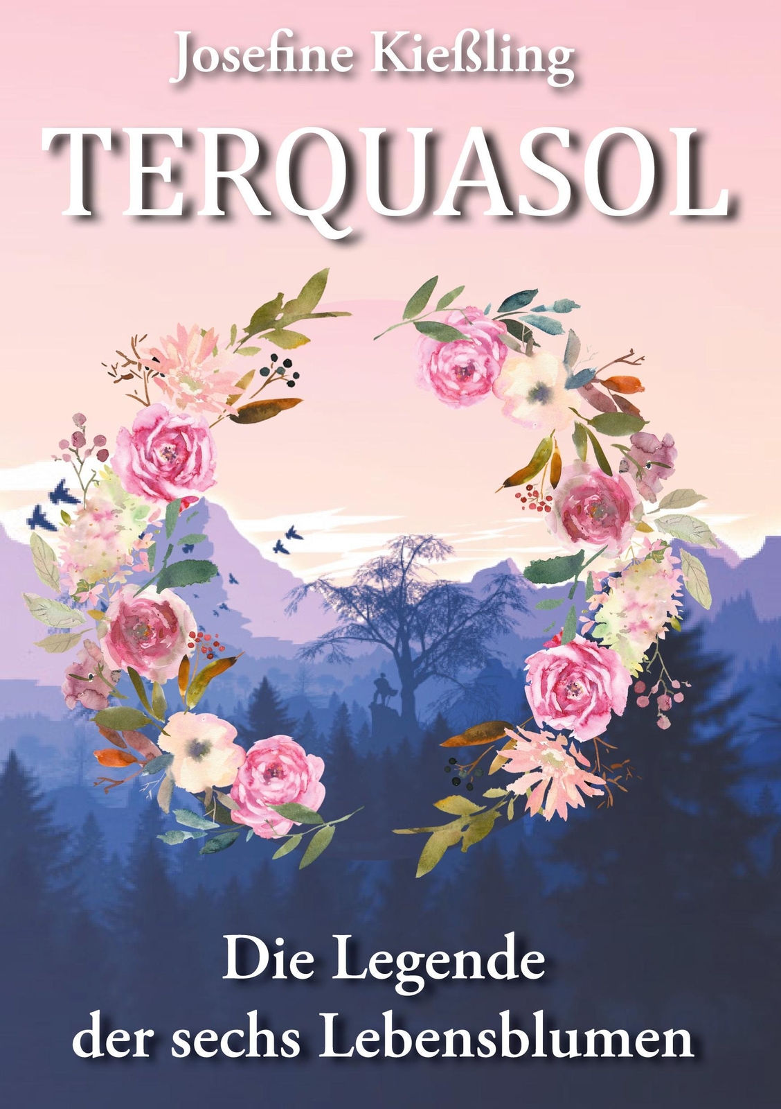 Thumbnail - Josefine Kießling | Terquasol | Taschenbuch | Deutsch (2020) |
