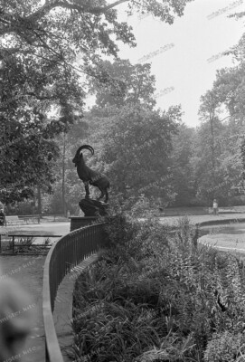 Negativ-Tierpark Berlin-Friedrichsfelde-Steinbock-Skulptur-1961-2