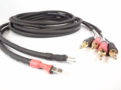 Clairmont Cable Bang Olufsen Tandberg Grundig Leak 2-pin DIN Speaker Cables 10ft