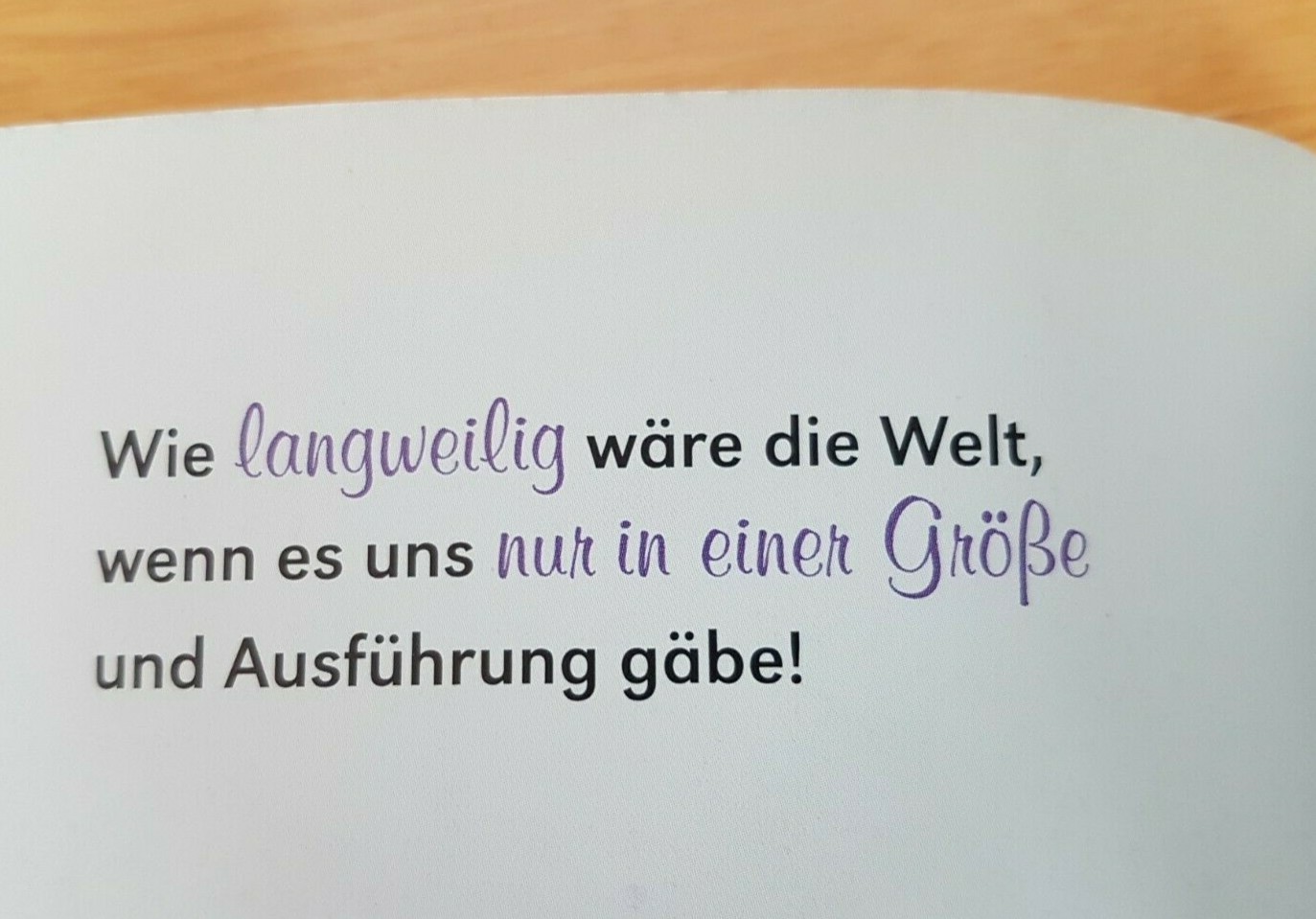 Bild 7 von 8