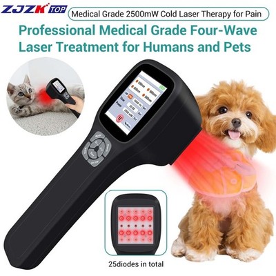 2.5W Handheld Cold Laser Therapy for Chronic Joint Pain, Improved Circulation