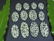 405Cts. Natural Dalmation Jasper Oval Cabochon Loose Gemstone 12 Pcs Lot E749