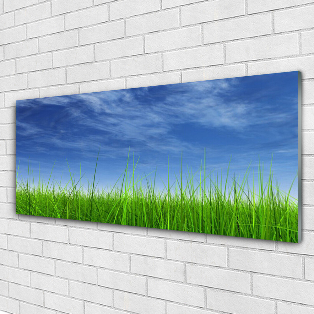 Impression sur verre image tableaux 125x50 déco murale nature