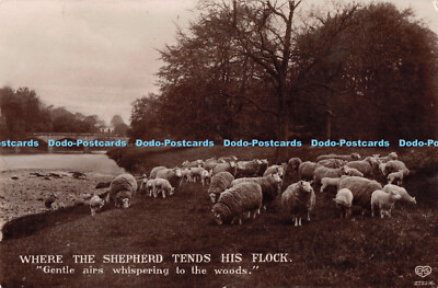 R266594 Where the Shepherd Tends his Flock Gentle airs whispering to the woods E