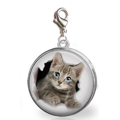 Pop Out Kitty Cat Clip On Charm for Bracelet Zipper Pull Purse Photo Jewelry