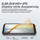 Bild 7 von 8