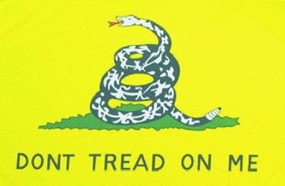 Miniflag Dont tread on me 10 x 15 cm Fahne Flagge Miniflagge