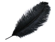 12 pcs 24-26" long Black Genuine Ostrich FEATHERS Wedding Party Centerpieces