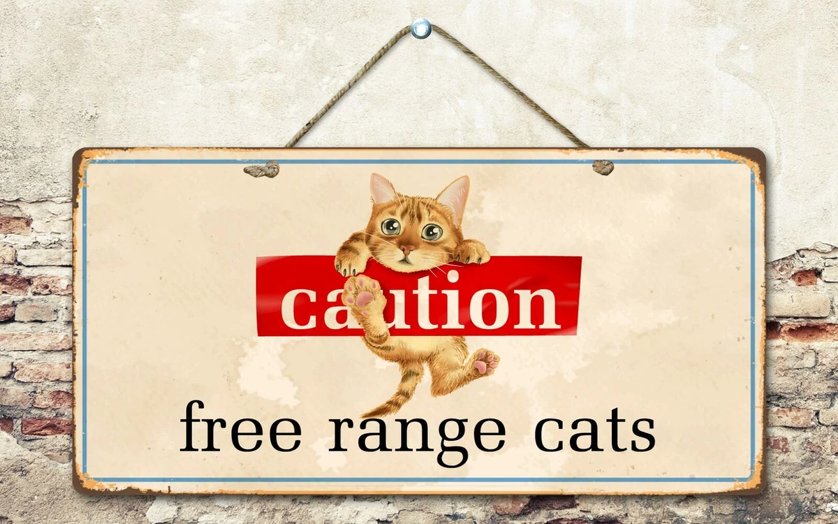 Free range best sale cats