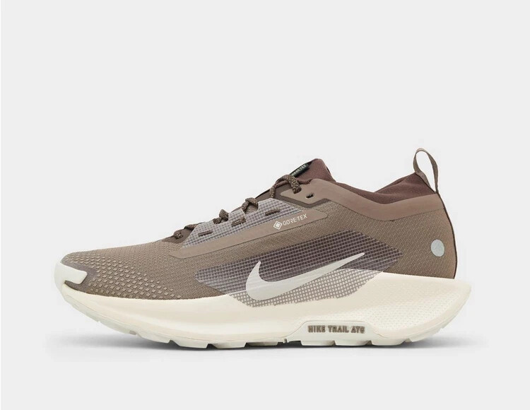 Nike Pegasus Trail 5 GORE-TEX Shoes in Brown | eBay