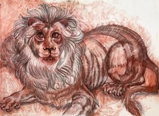 Portrait of a Lion – Original Drawing