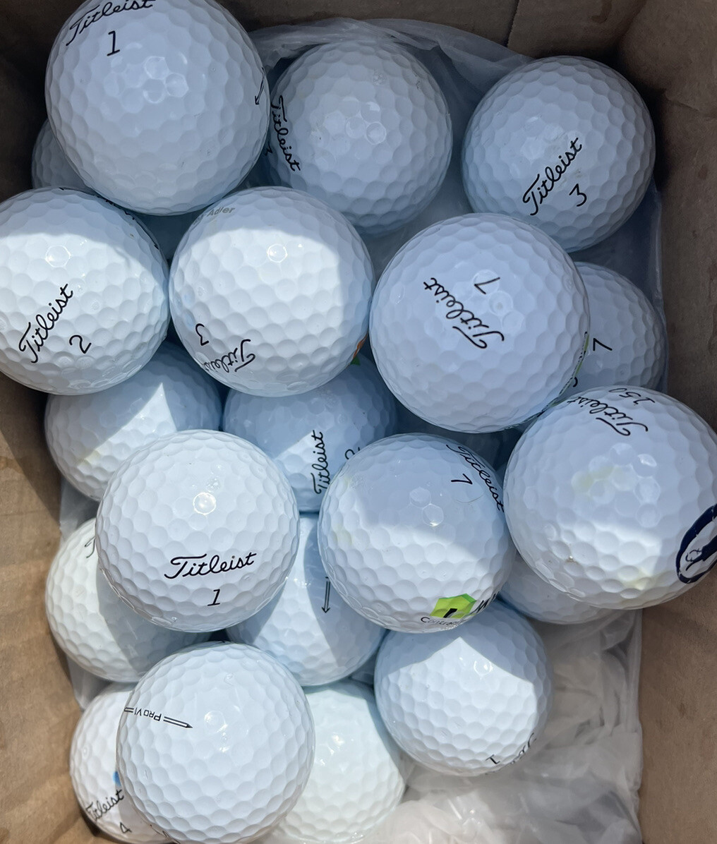 20 Titleist Pro V1 Golf Balls Grade A WHITE eBay