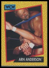 1991 Impel WCW #48 Arn Anderson