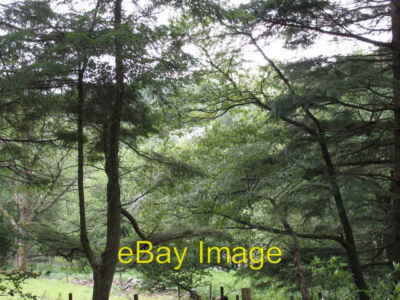 Foto 6x4 Kleine Felder bis zum Mawddach Ganllwyd \/SH7224 um 2007