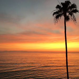 Eclectic Vintage Collectibles | eBay Stores