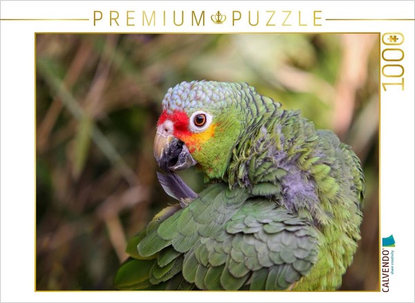 Calvendo Puzzle Yellow-Cheeked Amazon | 1000 Pieces, Finished Size 25.2 × 18.9 I-image