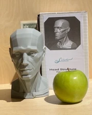 Head Structure V2.0, Planar Head, Planar Bust, Head Drawing, Painting, Planes of