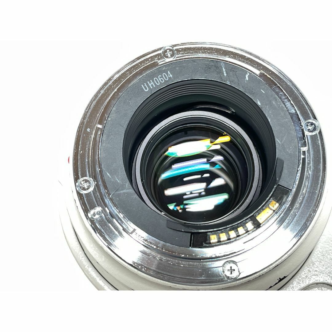 Canon EF 35-350mm f/3.5-5.6 L USM Ultrasonic Zoom Lens From
