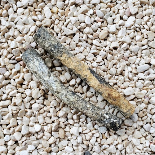 120 Grams Genuine Natural Raw Black Coral Branch Indonesian Sea Willow Yusr #30 - Picture 5 of 6
