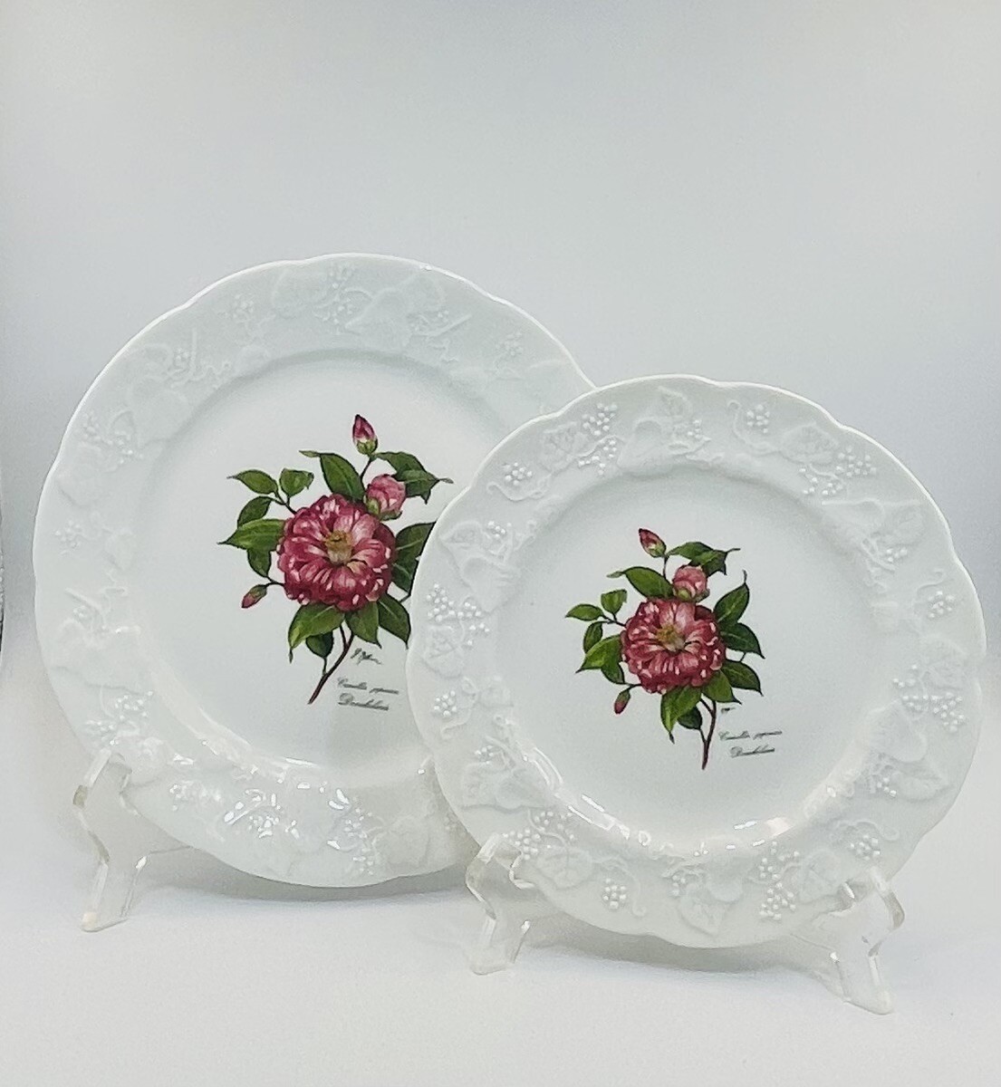 Lierre Sauvage CNP Flowers Of France Donckelaru Center Salad