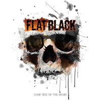 Flat Black - Dark Side Of The Brain - Vinyl Record - G4Z