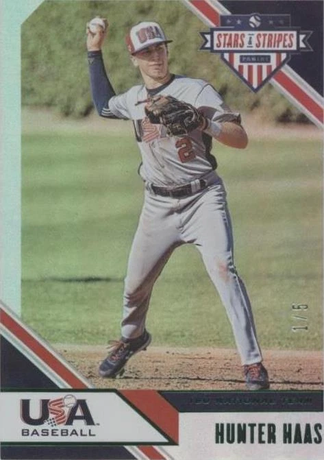 Longevity Black USA Flag