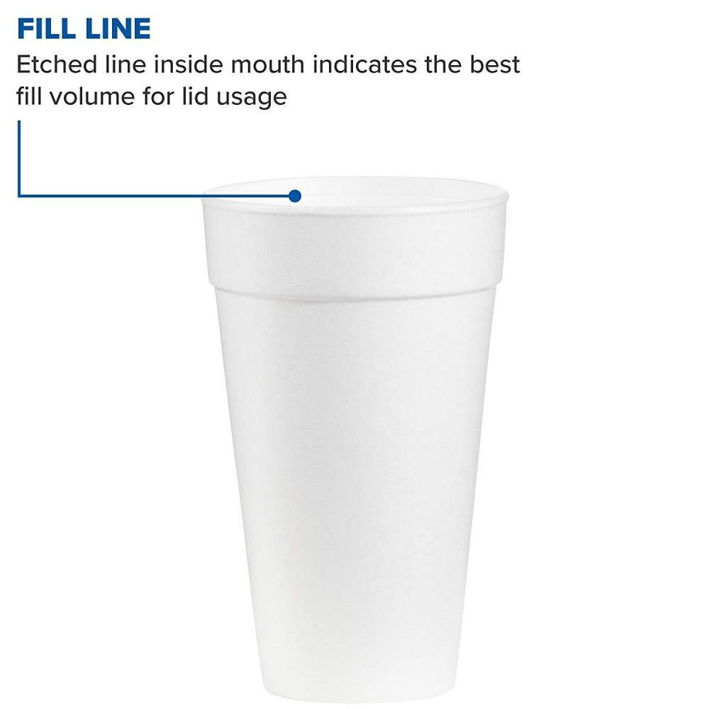 Dart 20J16 Foam Drink Cups, 20oz (Case of 500) 500 Cups | eBay