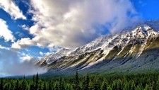 Landscape nature mountains forest sky trees Custom Gaming Mat Desk