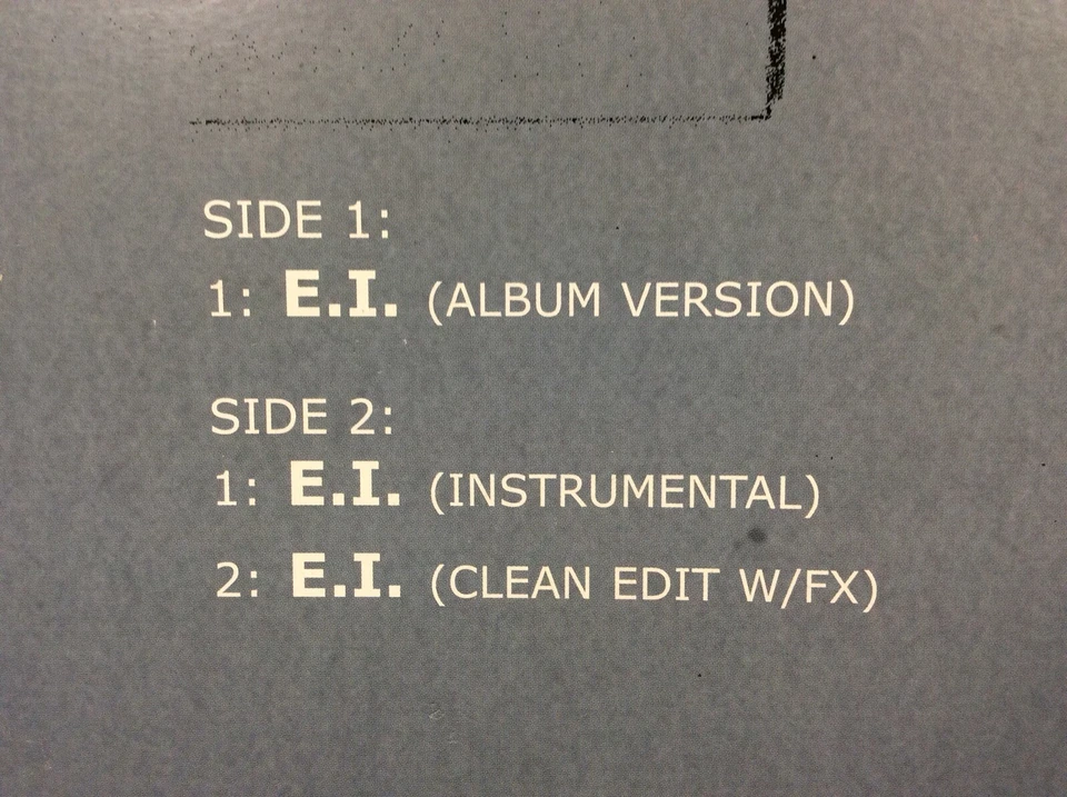 Nelly E.I. 12" Single Vinyl Record MCST40249 Hip Hop Rap 00s Foto 3 de 4
