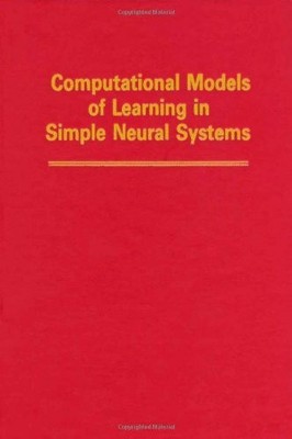 Computational Models of Learning in Simple Neural Buch Academic Press Inc