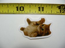 FUNNY CAT KITTEN SMALL STICKER DECAL READY TO PLAY PET FELINE FUNNY