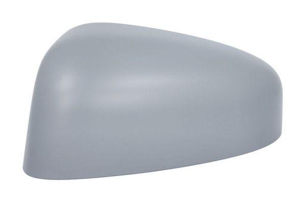 Left BLIC 6103-03-2001277P Housing, exterior mirror for FORD