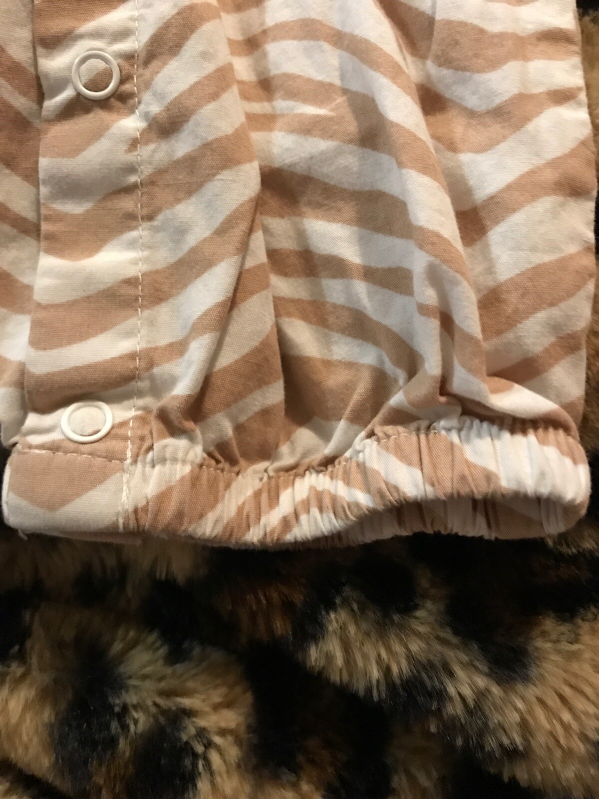 Picture 4 of 5