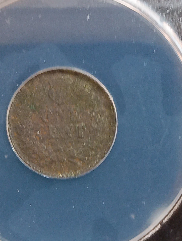 👉1877 Philadelphia Mint Indian Head Penny KEY DATE Anacs G4 - Image 2 of 2