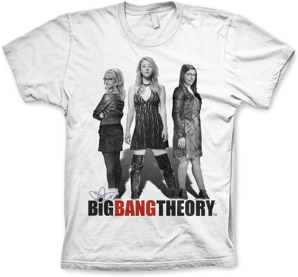 Big Tall Big Bang Theory Girl Power WB-1-TBBT029-H48-4 6790₽