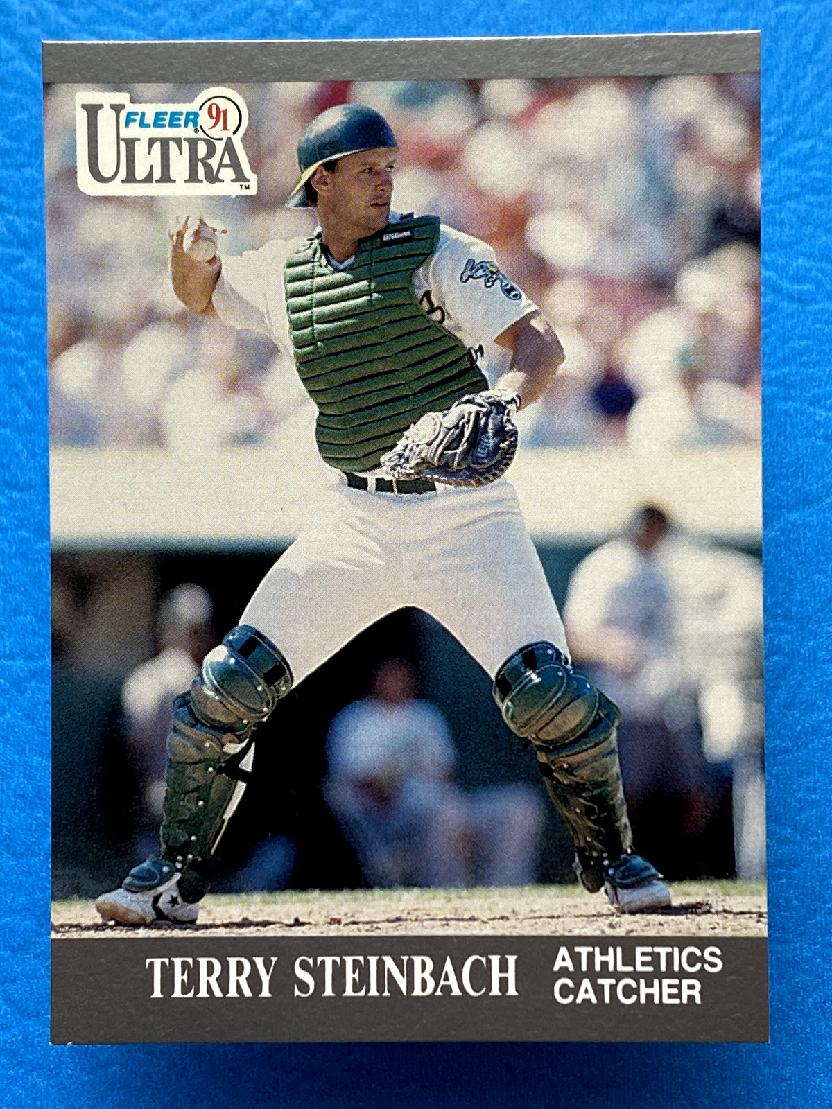 1991 Fleer Ultra Terry Steinbach #253