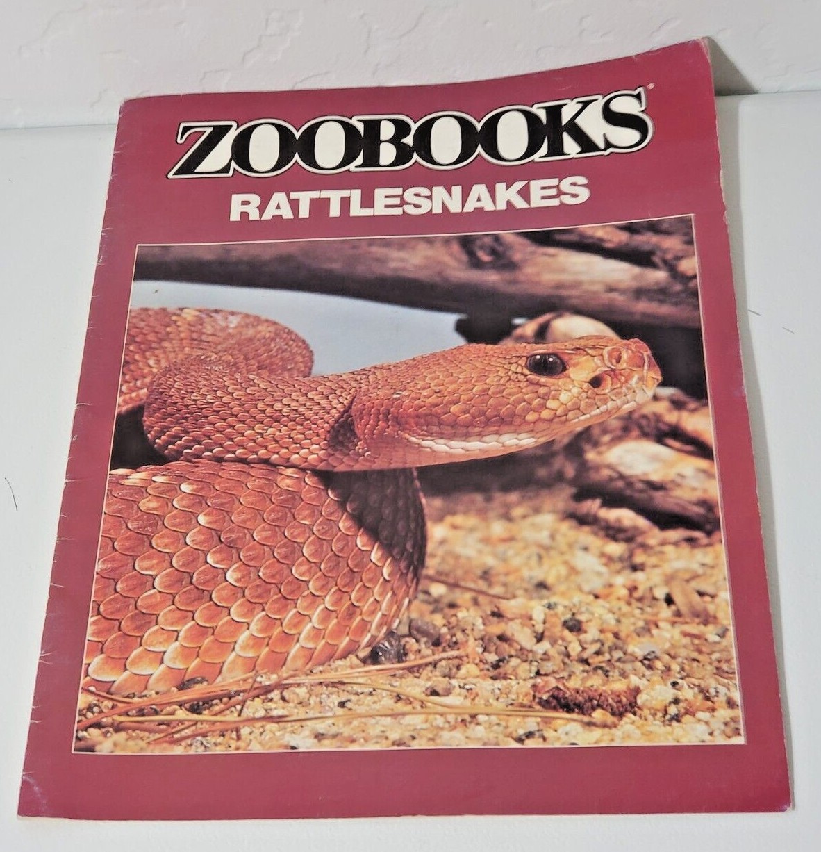 ZooBooks Vintage Pandas, Hippos, Insects, Eagles,Rattle Snakes, snd