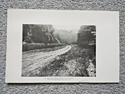 On the Road from Tionesta to Clarion, Pennsylvania - Antique Print - 1919