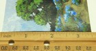 ACEO Original Landscape, Bluebonnet nature scene the art of JL Aun — photo 5