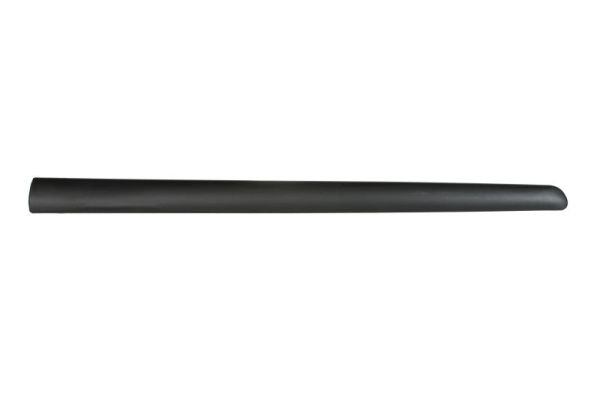 Left Front BLIC 5703-04-0519571P Trim/Protection Strip, wing for CITROËN