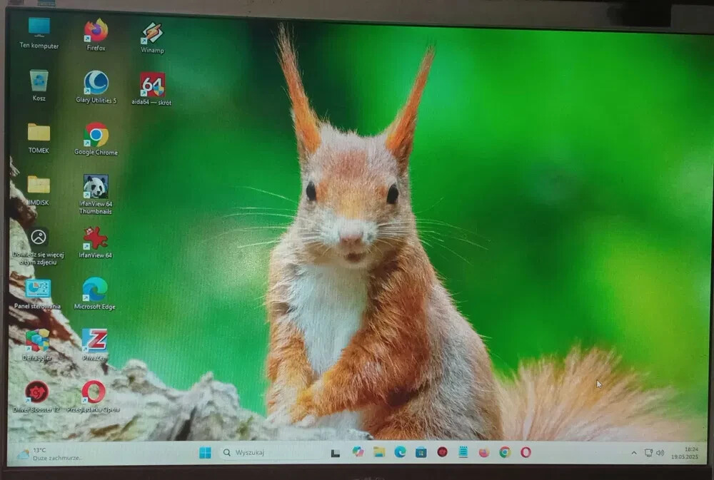 Zdjęcie 6 z 10