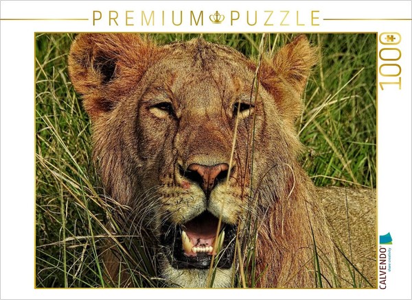 Calvendo Puzzle Lion In The Masai Mara | 1000 Pieces, Finished Size 25.2 × 18.9-image