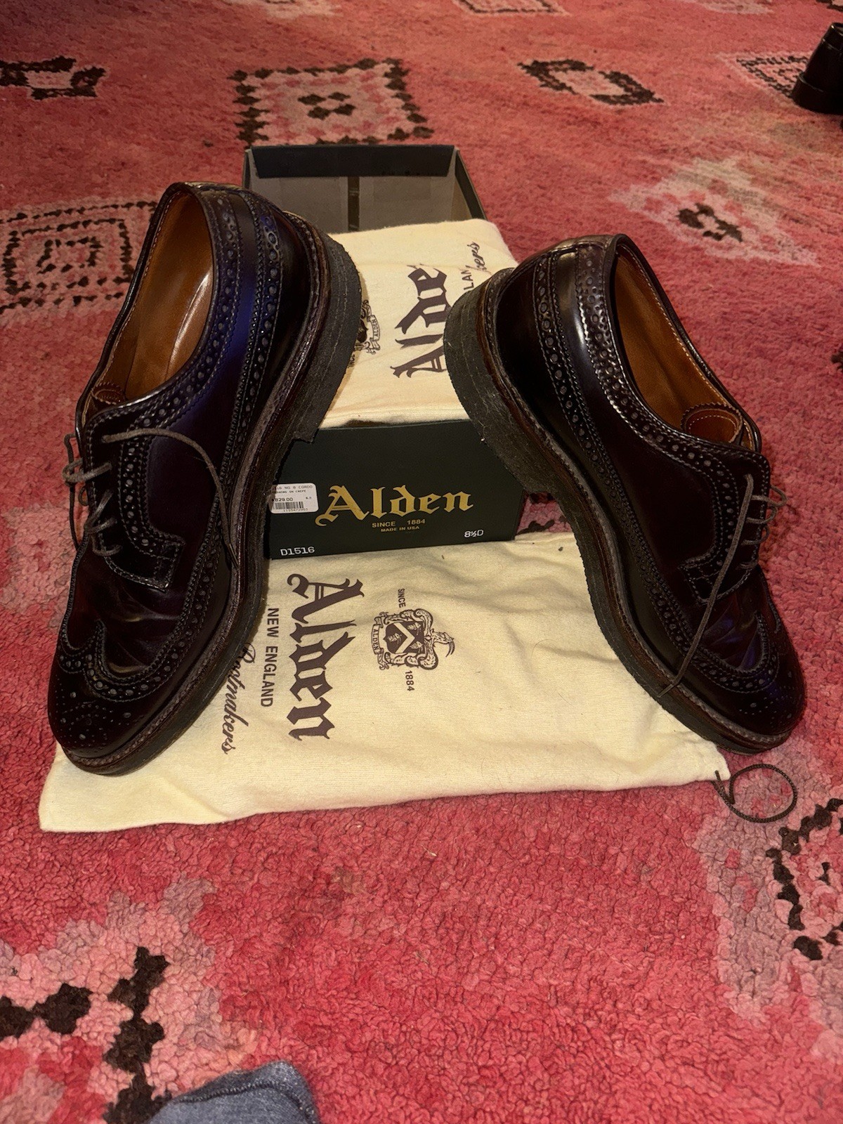 Alden 975 Color 8 Shell Cordovan Long Wing Blucher