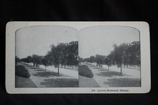 Stereo pair Original stereo image historic nature Chicogo  34