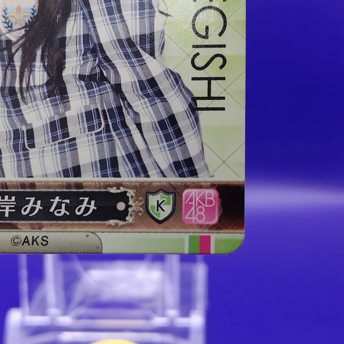 MINAMI MINEGISHI AKB48 Trading Card Game & Collection Japanese Vol