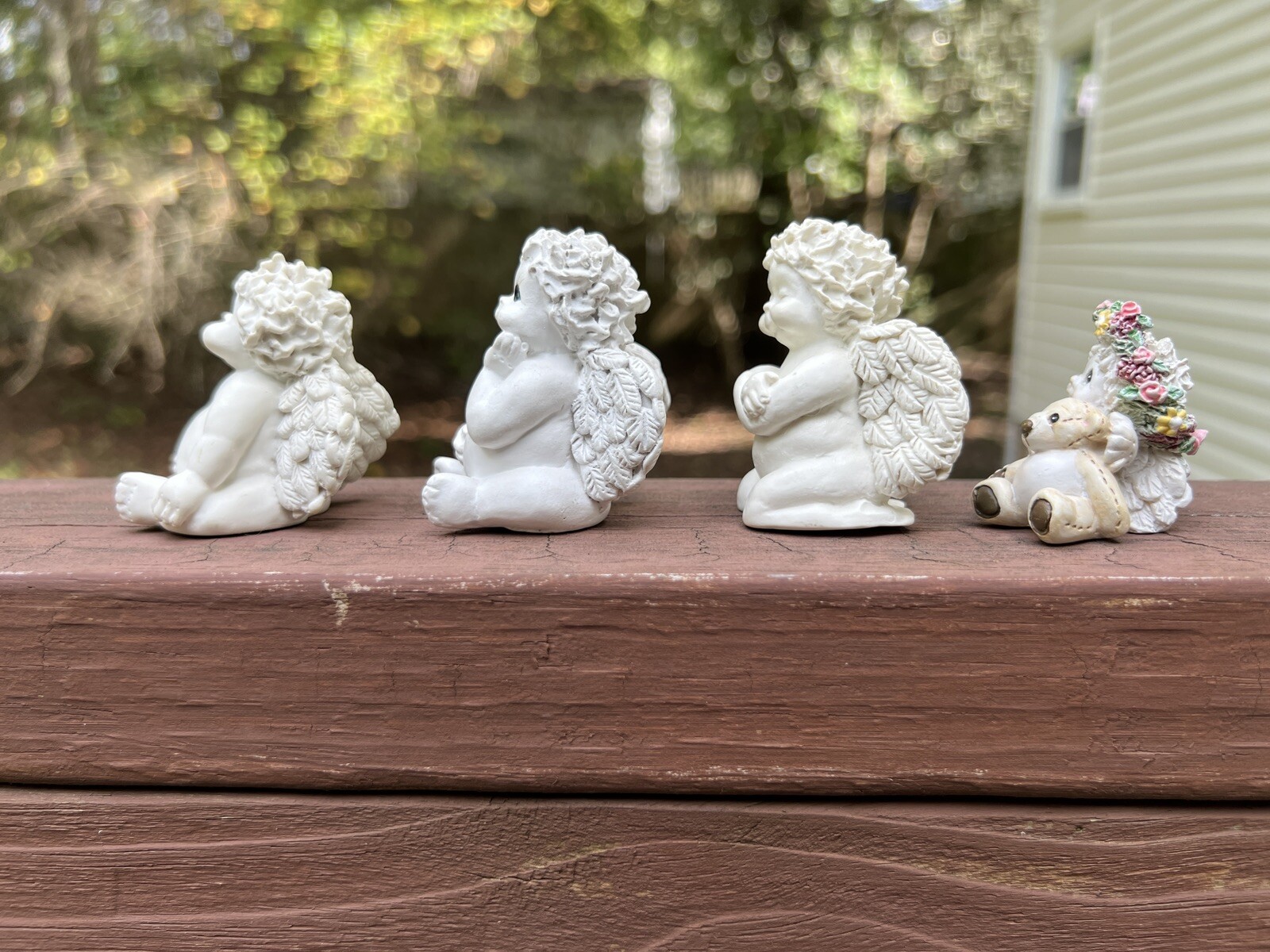 Picture 8 of 24